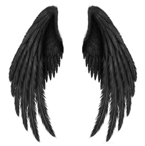 large angel wings black